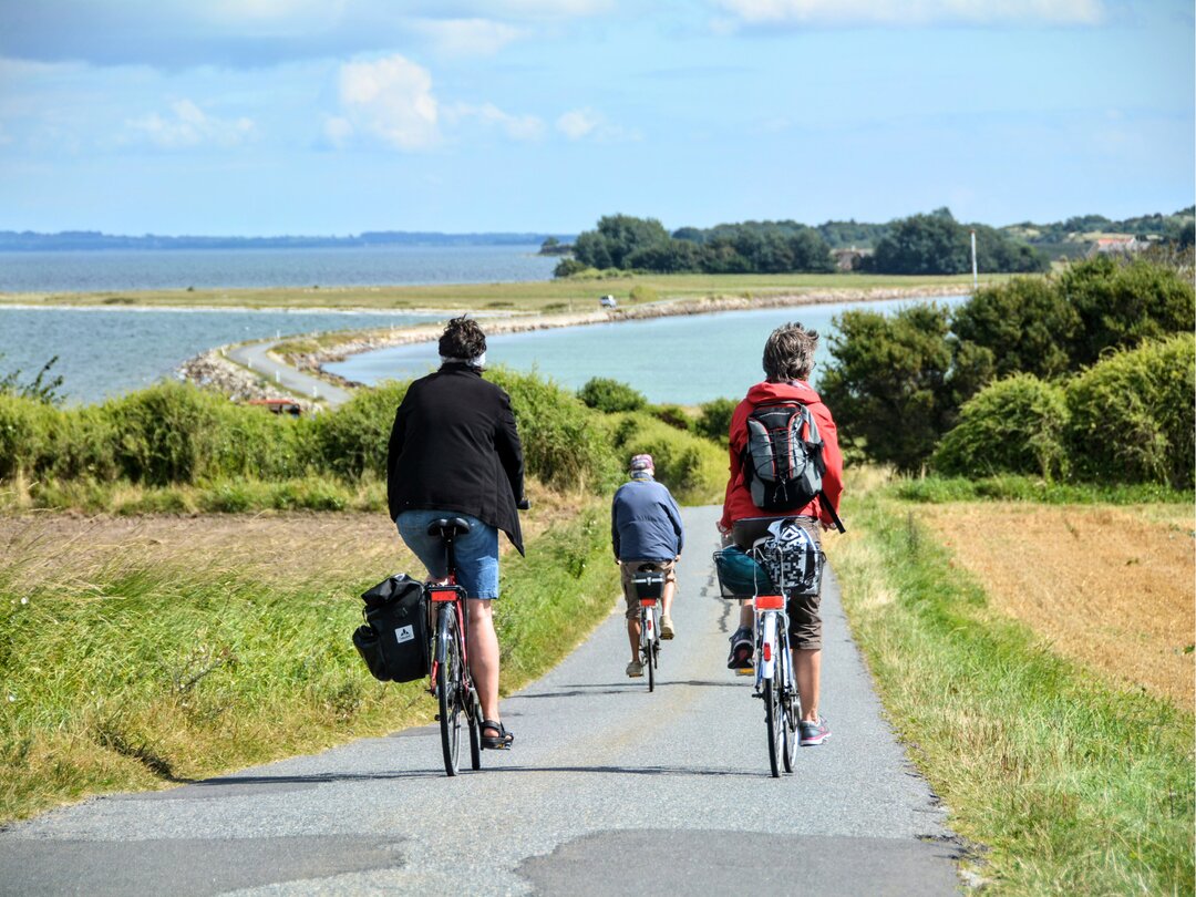 Aktiv ferie på Avernakø. Familie cykler over Drejet på Avernakø med udsigt over det sydfynske øhav på begge sider.