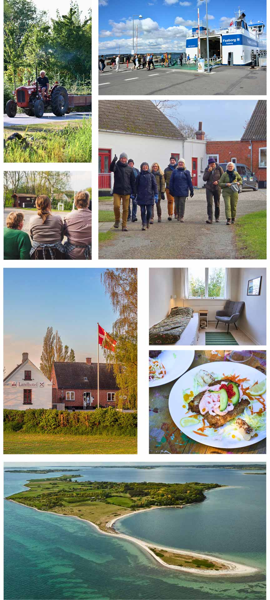 Vandresko collage